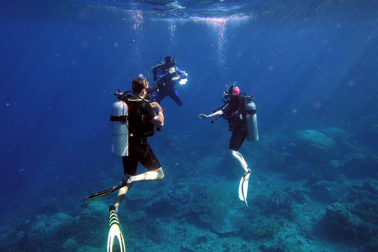 Quiver Dive Team Perhentian Dorm Pulau Perhentian Kecil Eksteriør billede